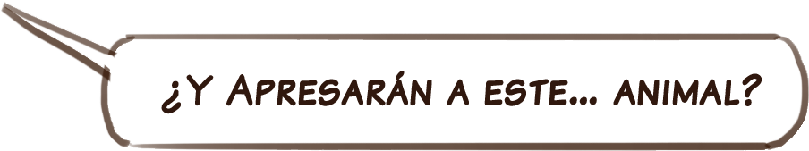 texto11